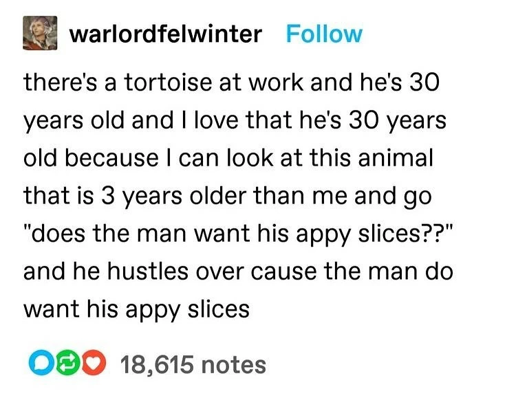 Image uploaded by Rolando