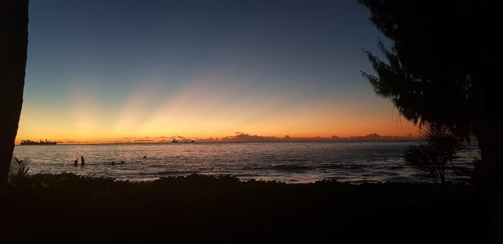 Image uploaded by Meynard