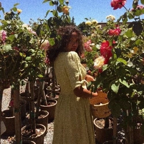 Image uploaded by Raven