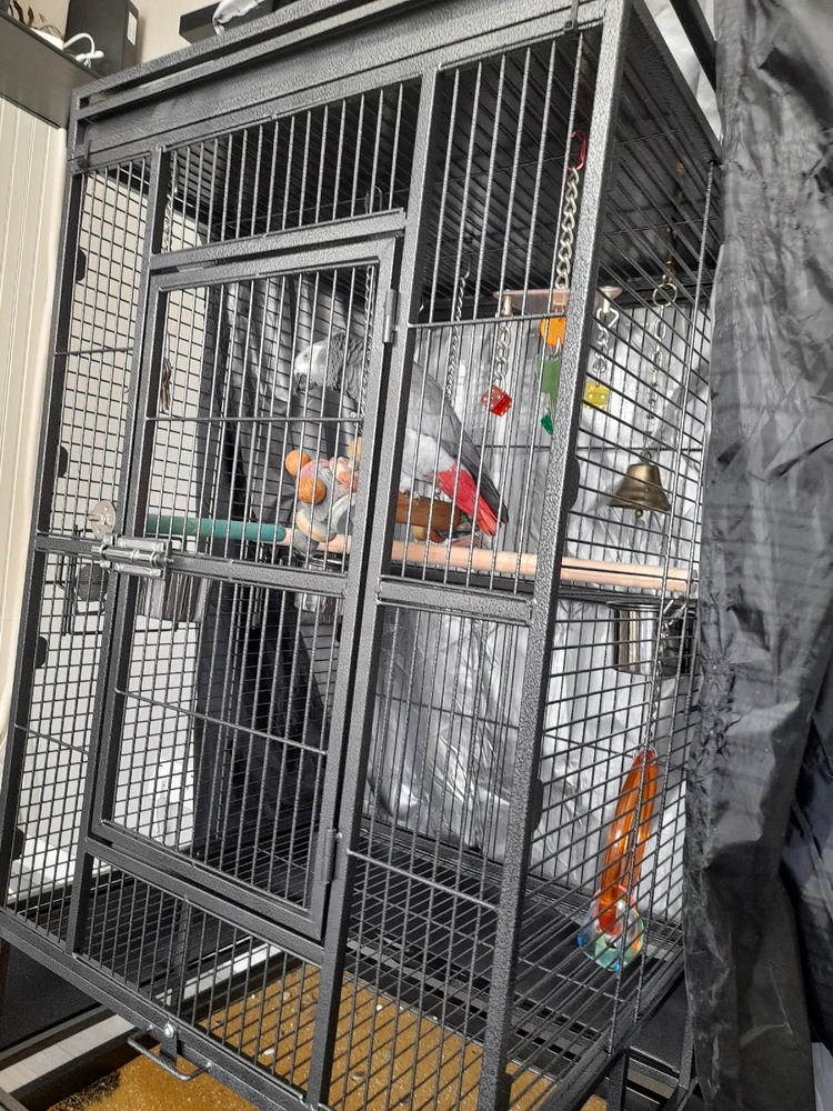 Image uploaded by Chrome