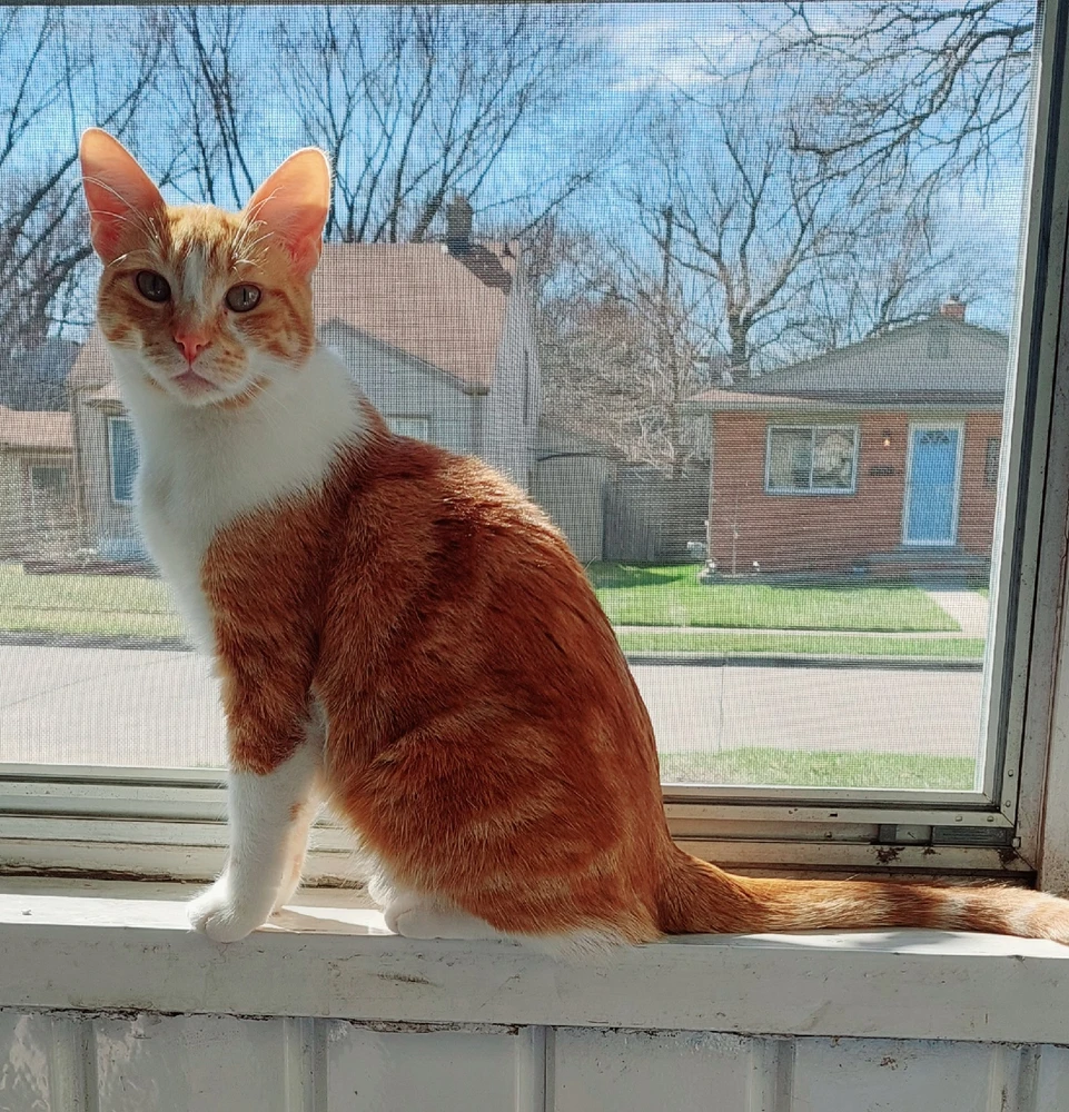 Image uploaded by Destiny