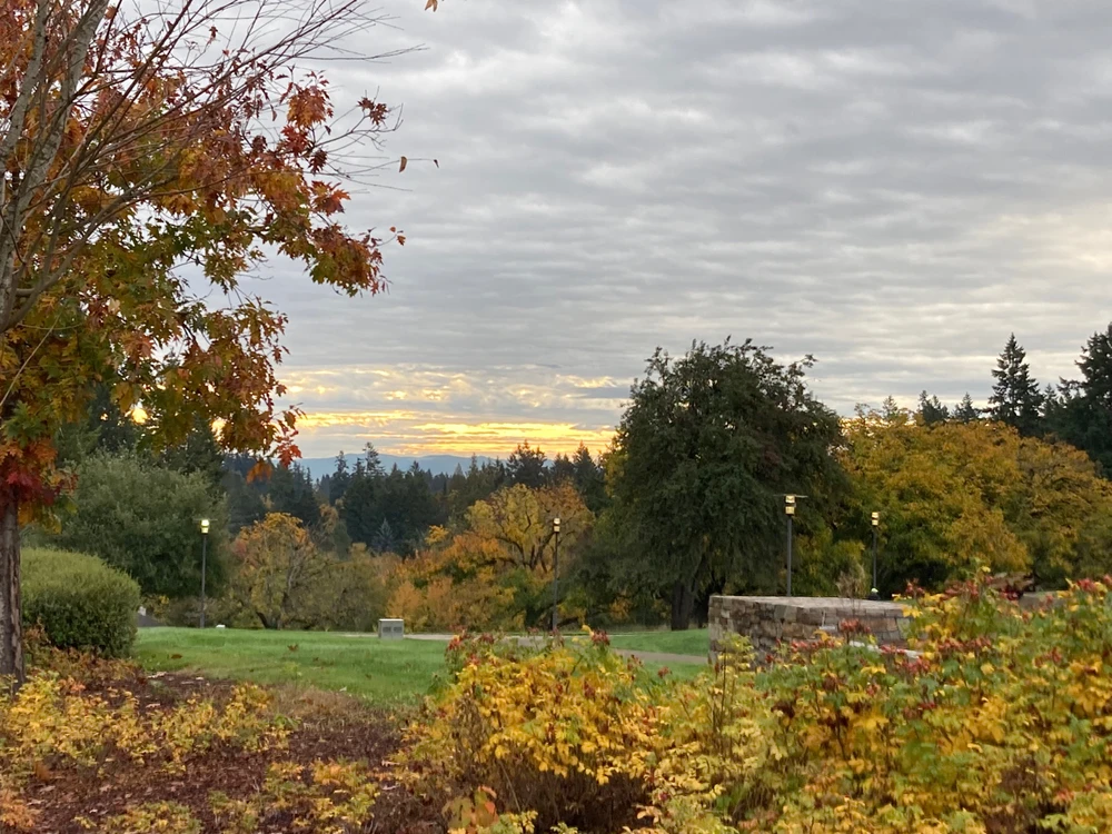 Image uploaded by Kieryn