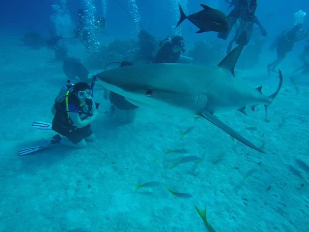 Image uploaded by Azyr