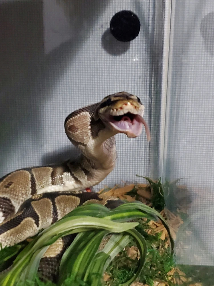 Image uploaded by Mandy