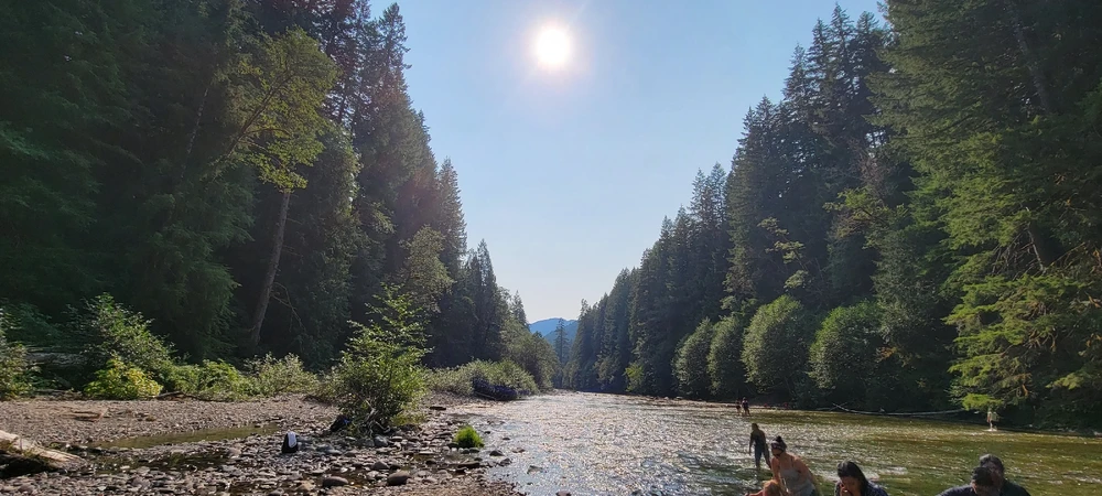 Image uploaded by Meynard