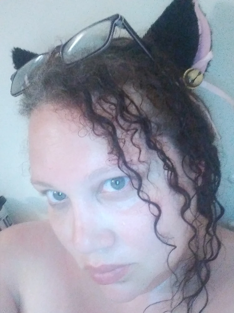 由Kitten上传的图片