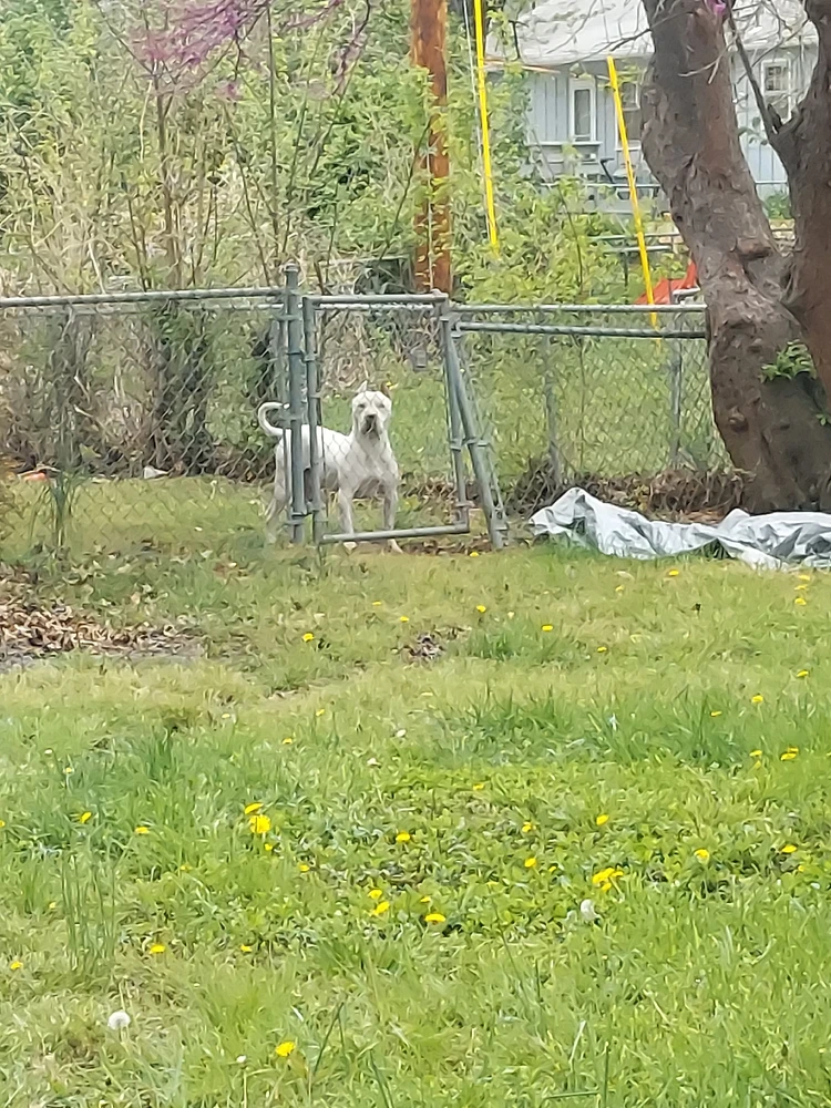 Image uploaded by Amora