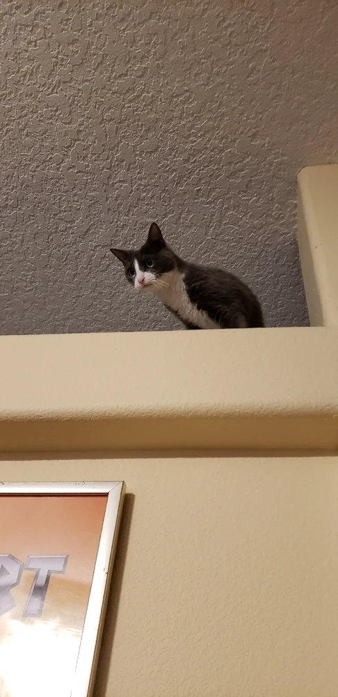 Image uploaded by Brianna