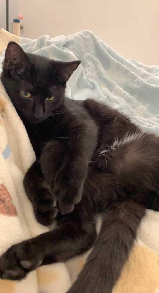 Image uploaded by Kai