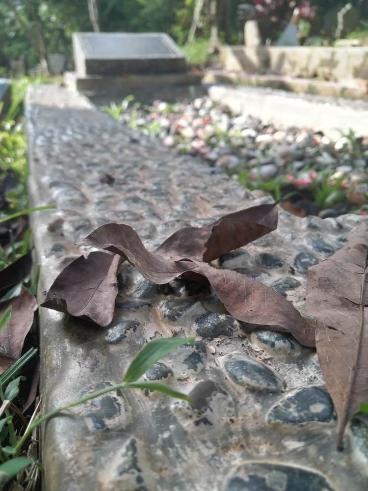 Image uploaded by Jomzsk