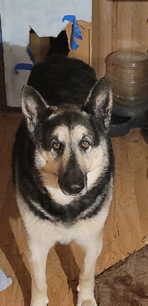 Image uploaded by Bailee