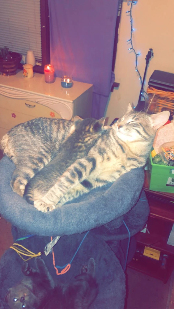 Image uploaded by Katerina