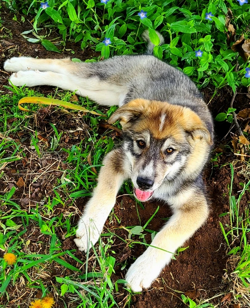 Image uploaded by Kileyrae