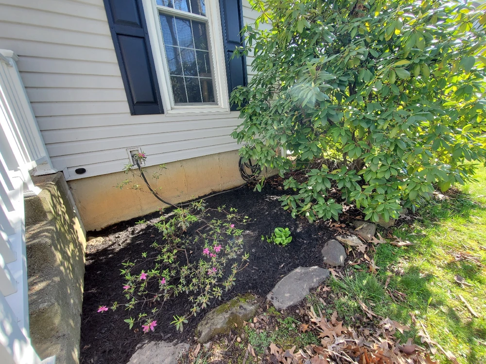 Image uploaded by Rebekah