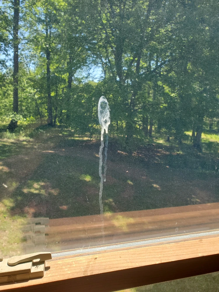 Image uploaded by Vincent