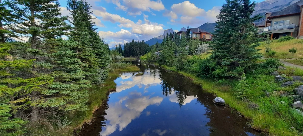 Image uploaded by Braden Kerney