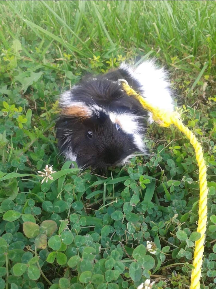 Image uploaded by Stephanie