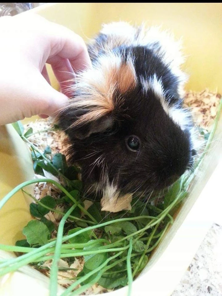 Image uploaded by Stephanie