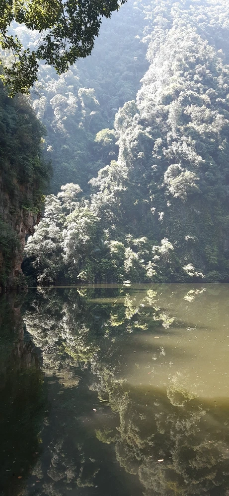 Image uploaded by Hani