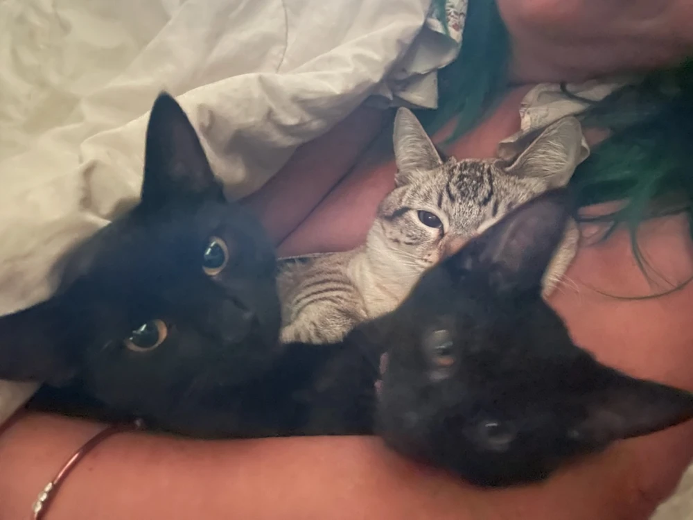 Image uploaded by Monkie