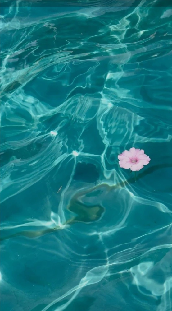 Image uploaded by Claire