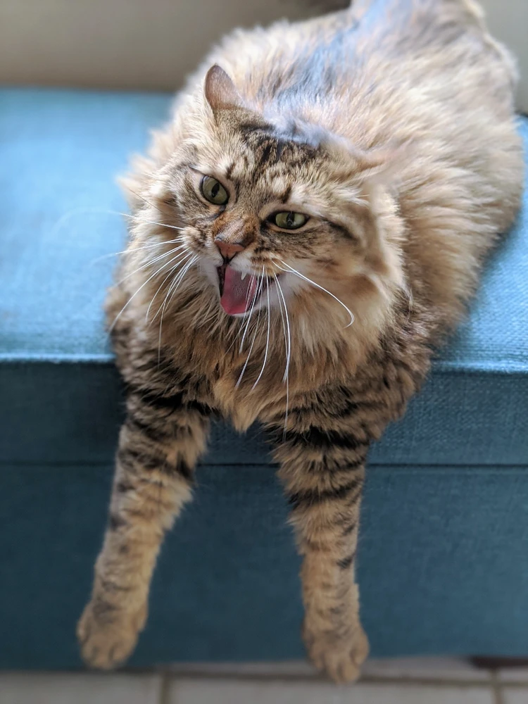 Image uploaded by Malissa