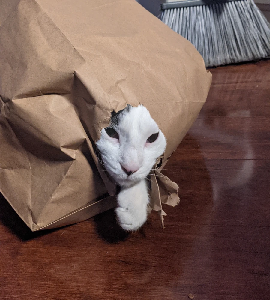 Image uploaded by Tatokun