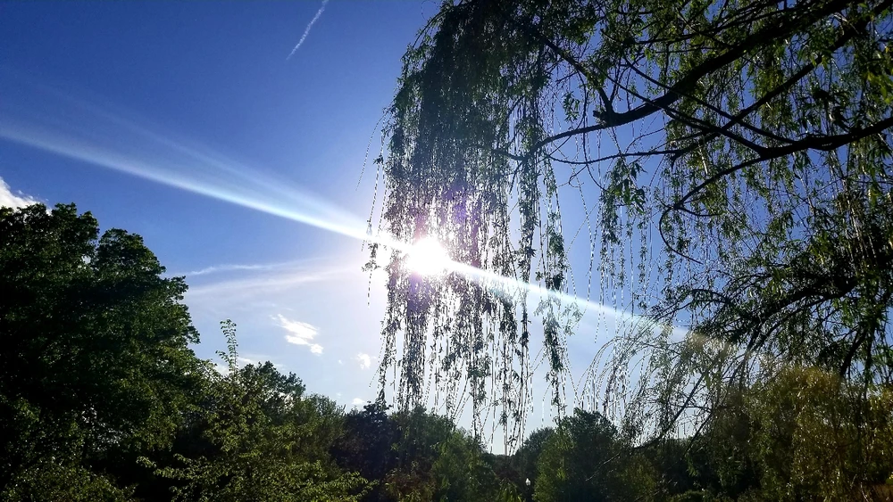 Image uploaded by Majin Boo