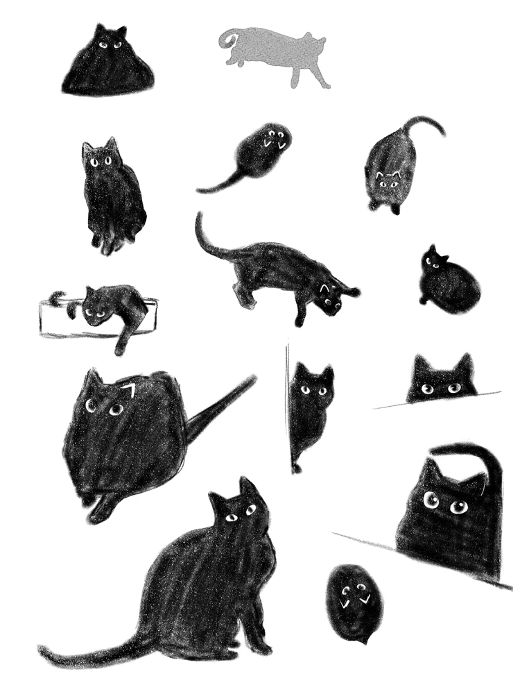 Image uploaded by Dori