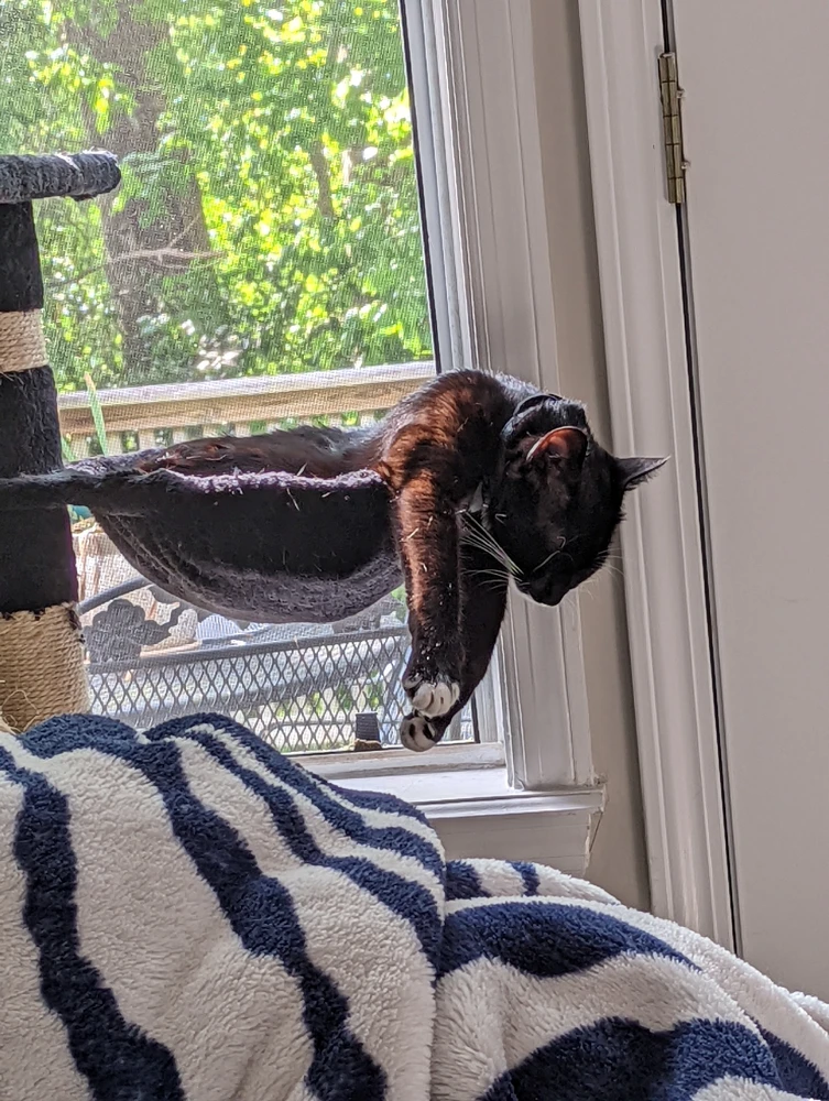 Gambar diunggah dening Annie