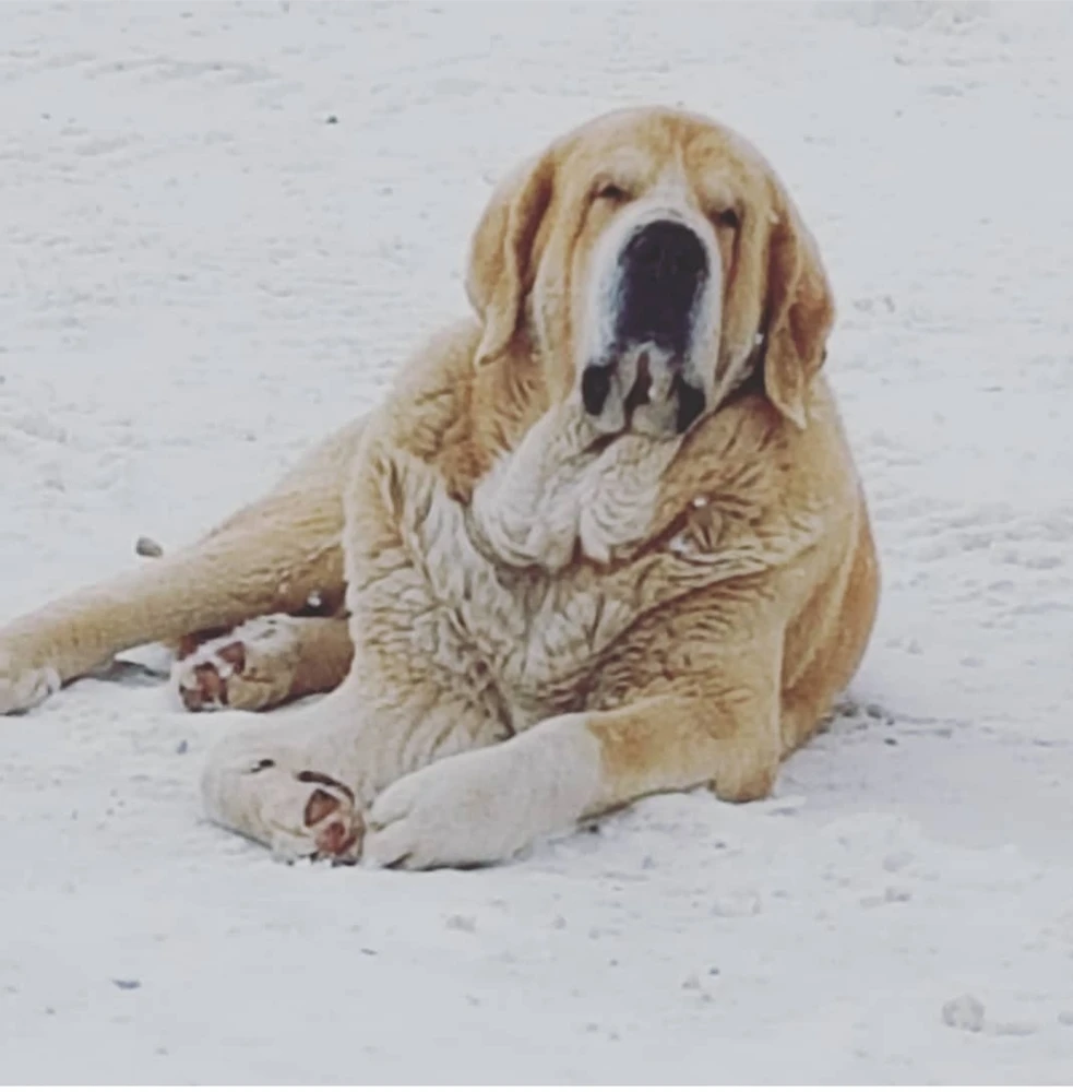 Image uploaded by Stacey