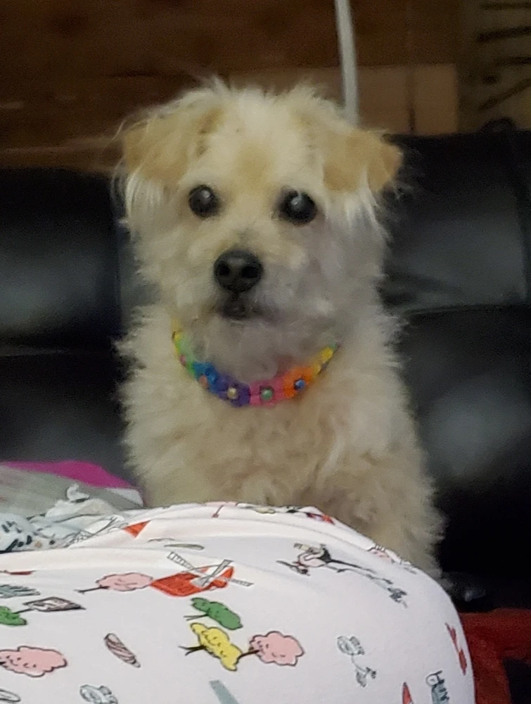 Image uploaded by Stephanie