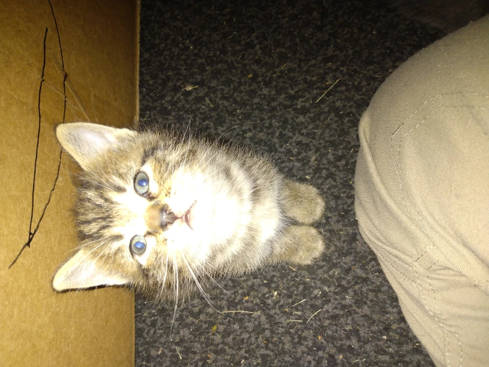 Image uploaded by Ace