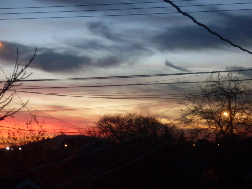 Image uploaded by Des