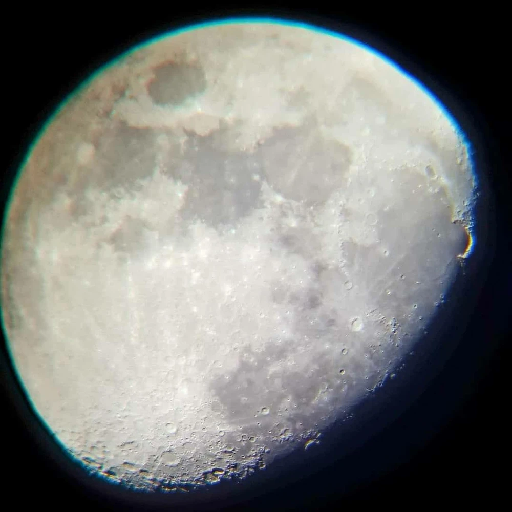 Image uploaded by Shane Devin hodgson