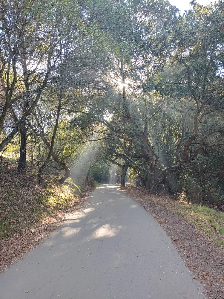 Image uploaded by Sarah