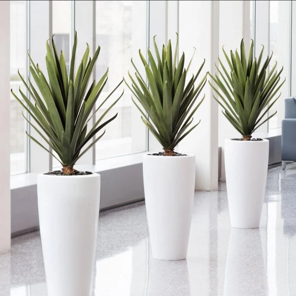 Gambar diunggah oleh Sam