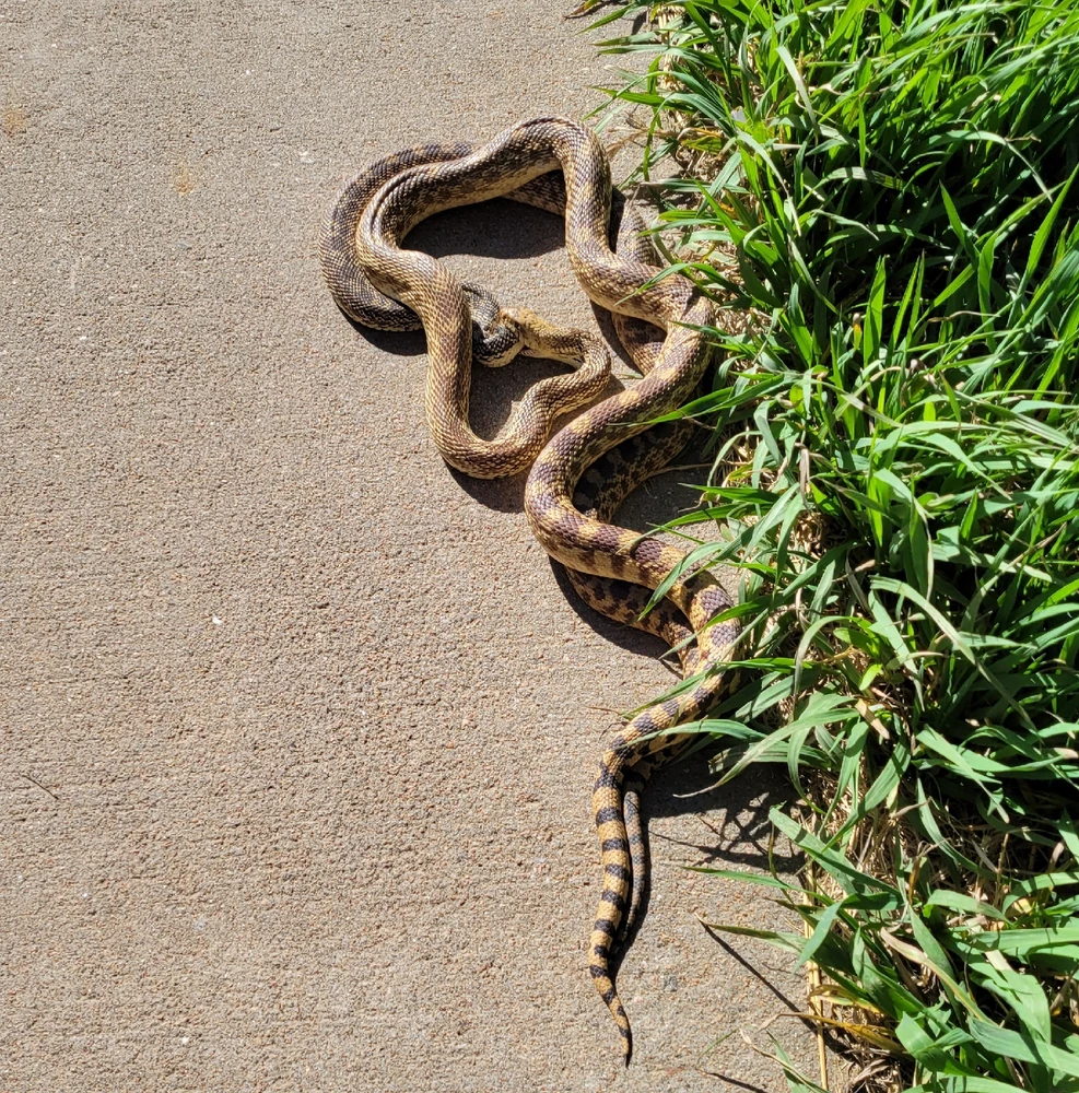 Image uploaded by Eric