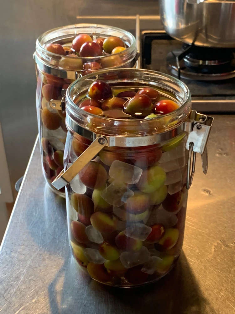 Image uploaded by Motoo