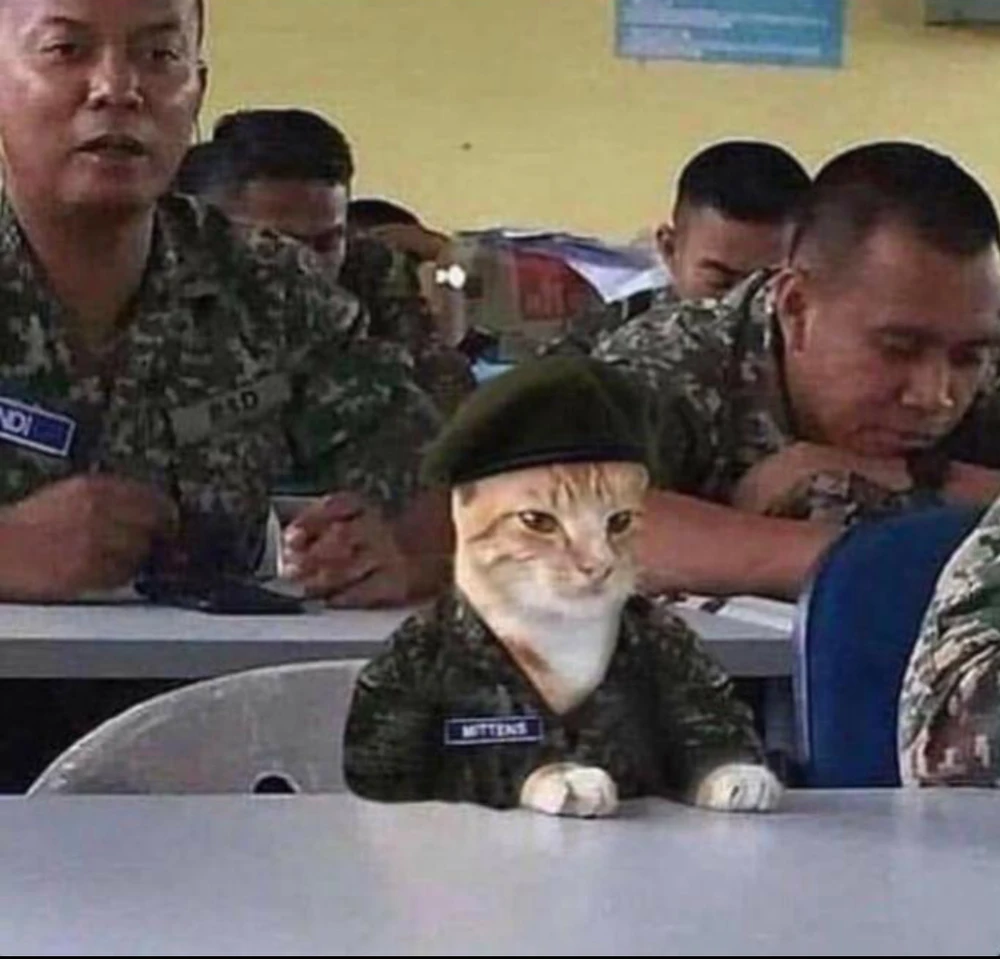 Image uploaded by Sarah