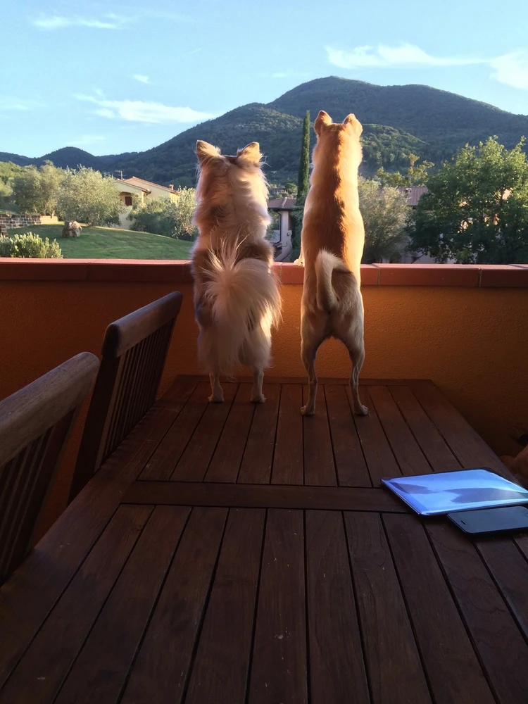 Image uploaded by Gabriella