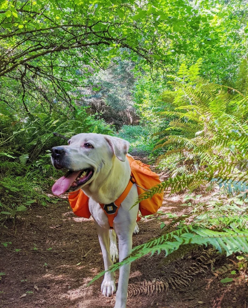 Image uploaded by Amanda