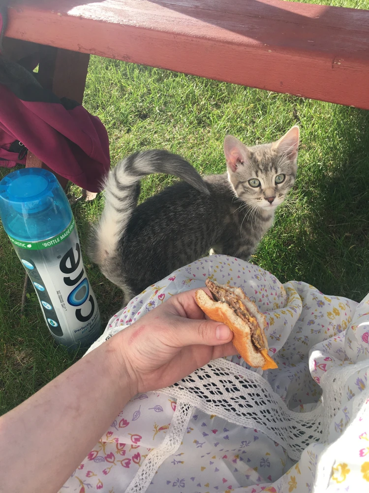 Image uploaded by Katerina