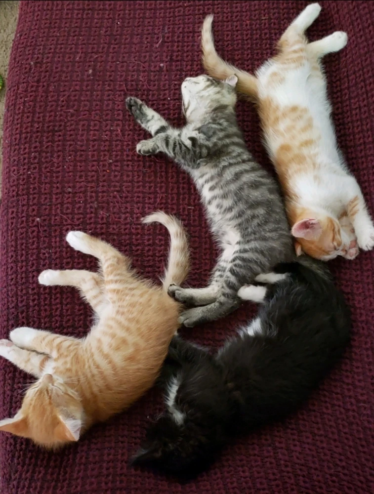 Image uploaded by Autumn