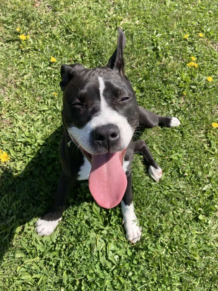 Image uploaded by Zach