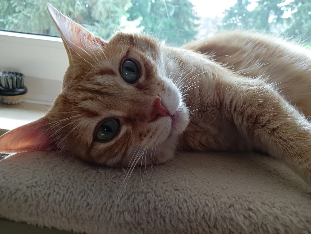 Bild hochgeladen von Steffi