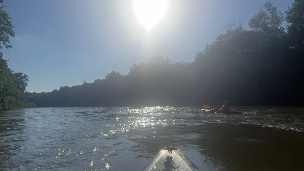 Image uploaded by Steve