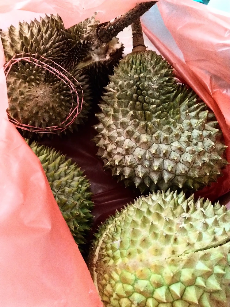Image uploaded by feifei