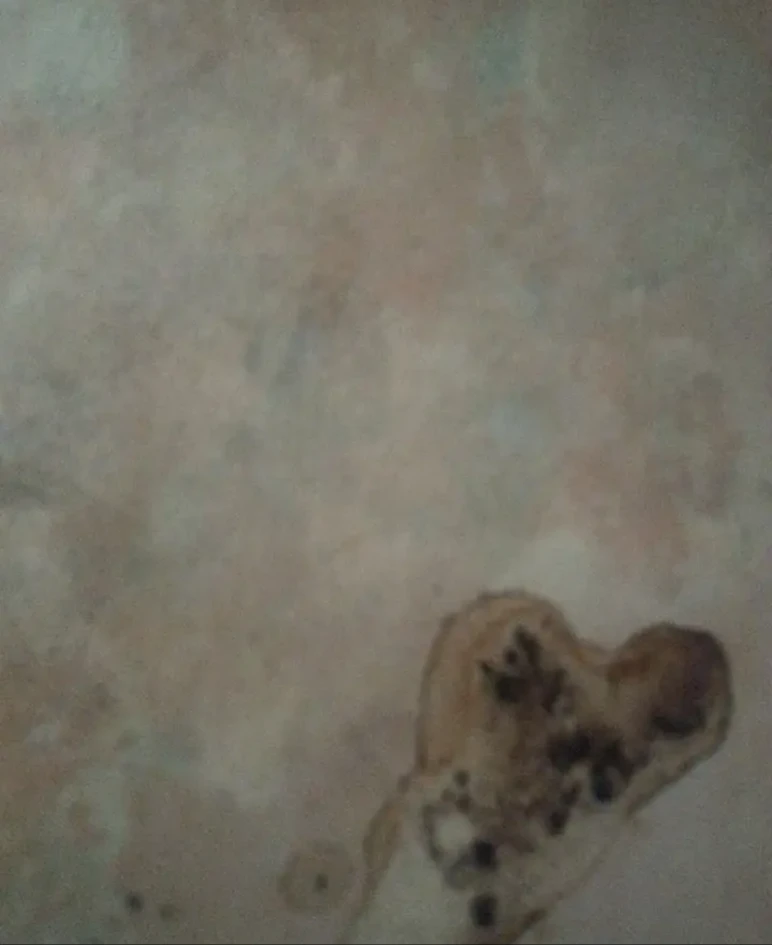 Image uploaded by Audrey