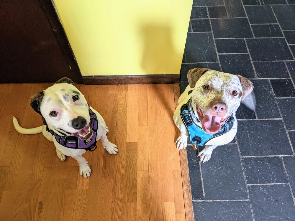 Image uploaded by Olivia